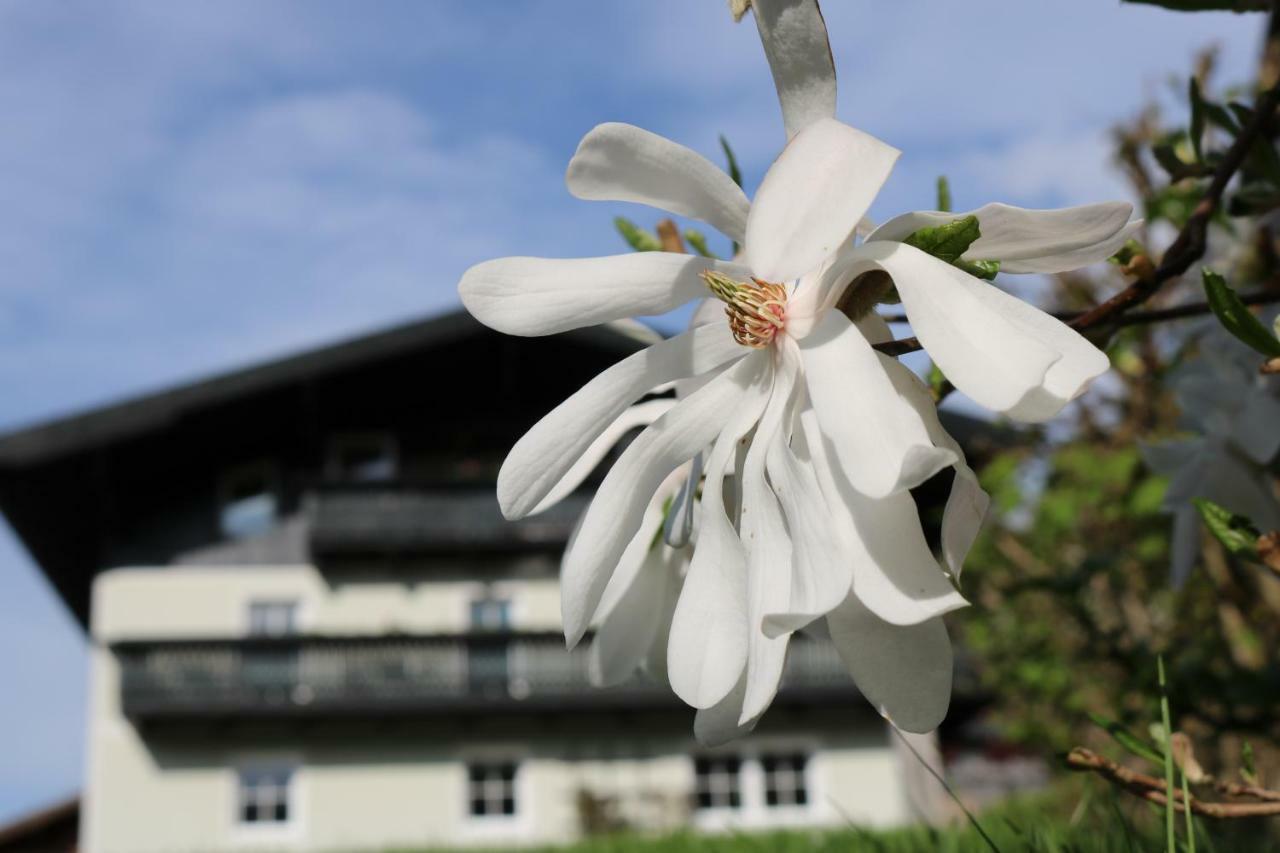 Haus Brandstaetter Eben Im Pongau Exterior foto